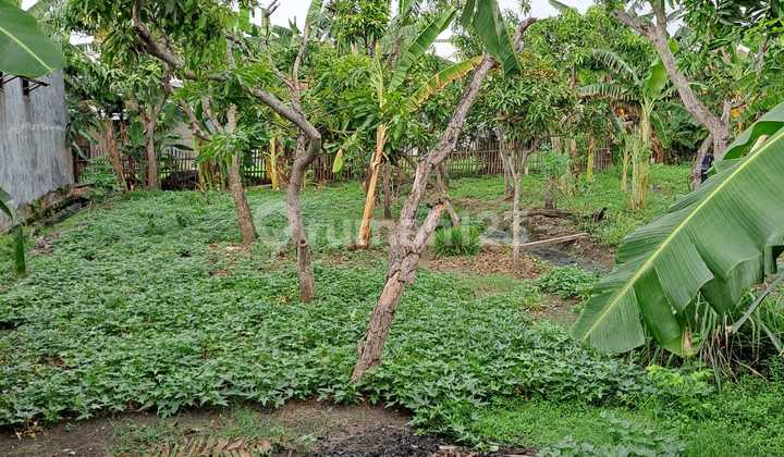 House on Kendung Street near BDH Hospital. 2