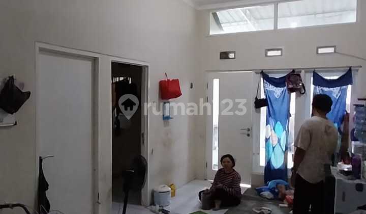 Phirus Hijau Driyorejo Gresik 2