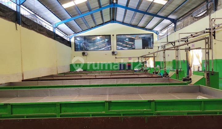 Affordable Festival Mojosari Mojokerto