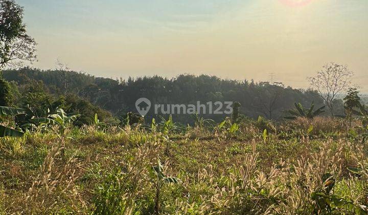 Raya Trawas Mojosari Jatijejer Pungging Mojokerto 1