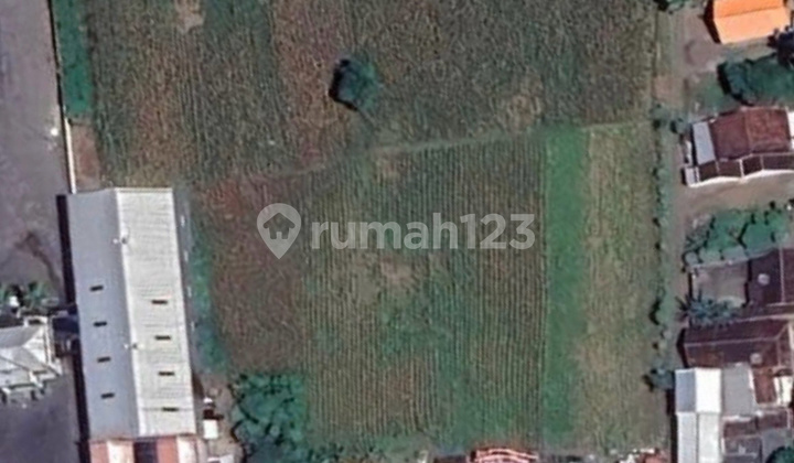 Komersial area Gatot Subroto Banyuwangi Komersial area Gatot Subroto Banyuwangi