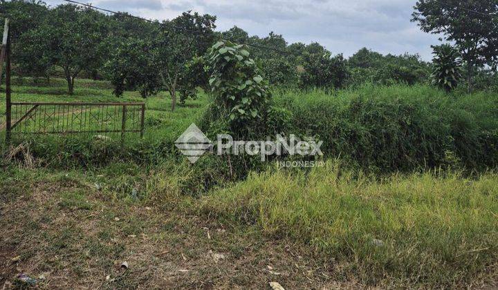 Bonowarih, Karangploso Malang dekat Malang Skyland 1