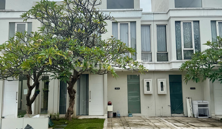 Furnish Grand Pakuwon Cluster Adelaide