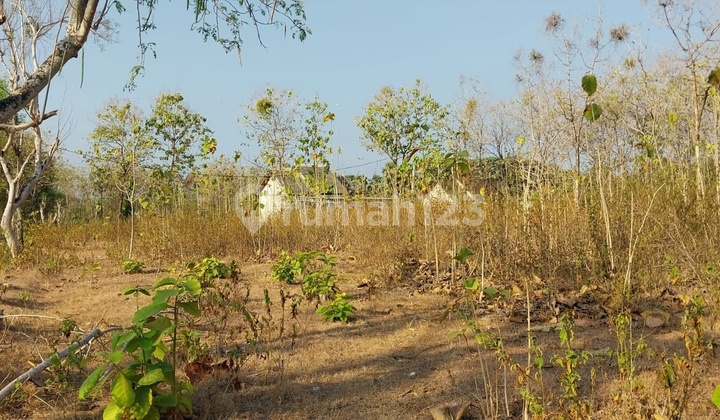 Merakurak, Tegalrejo, Tuban, East Java