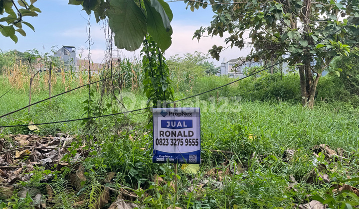 Dibawah Appraisal Diponegoro Kebomas Gresik