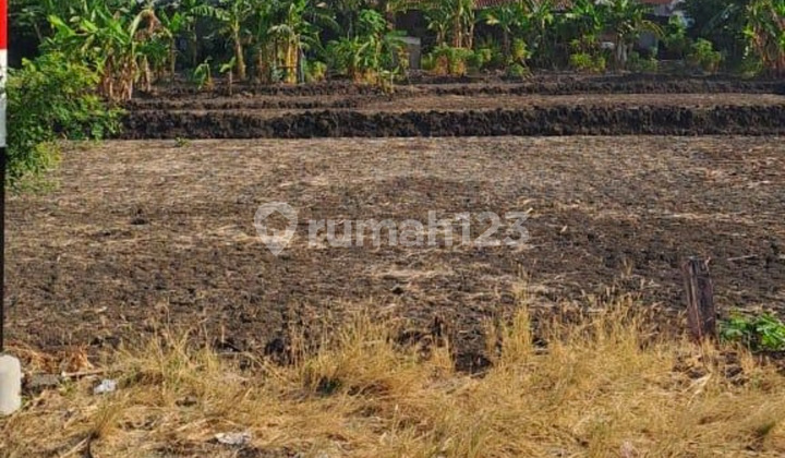 Raya Babat Jerawat Dekat North West Raya Babat Jerawat Dekat North West