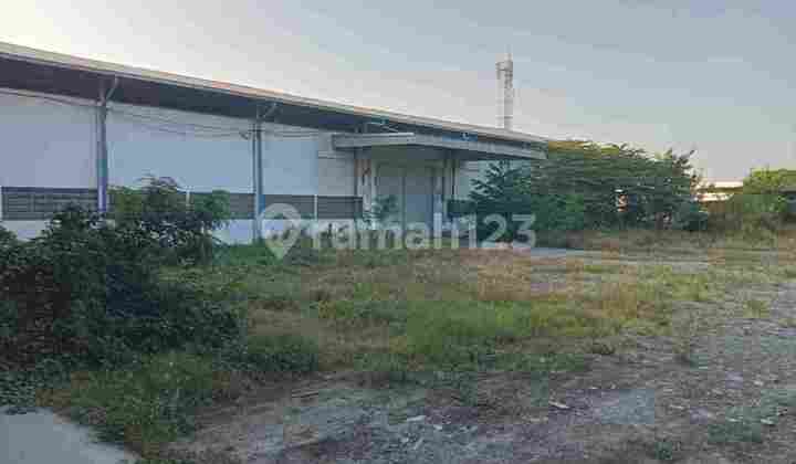 Gudang Tambak Sawah Waru Sidoarjo Gudang Tambak Sawah Waru Sidoarjo