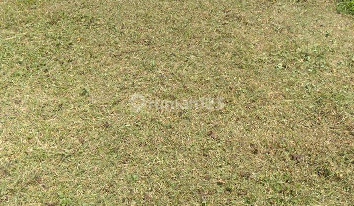 Lahan Industri di Citra Maja Raya, Tangerang SHM 1.550 m² 6