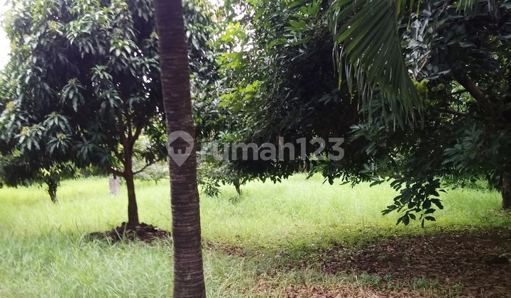 Jual Kavling 3495m2 di Larangan Pondok Aren Bonus Rumah. 2860 3