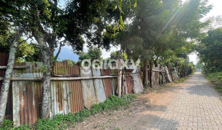 Dekat Tol Bonus Kebun Mangga Tanah Kavling Lahan Industri Ngoro Mojokerto, Cocok Untuk Gudang / Pabrik, Selangkah Dari Jalan Raya 1