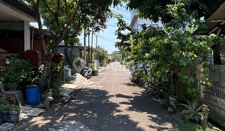 Minimalist Scandinavian House - Ready to Occupy, Land Certificate, Cileungsi, East Bogor, SHM in Citra Indah City Housing, Jl. Citra Indah Utama, Sukamaju, Jonggol, Bogor, West Java, Indonesia, 16830, Cileungsi 2