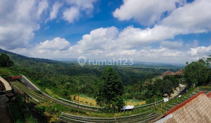 Tanah View Gunung Dan Hutan di Jual di Bedugul Tabanan 1