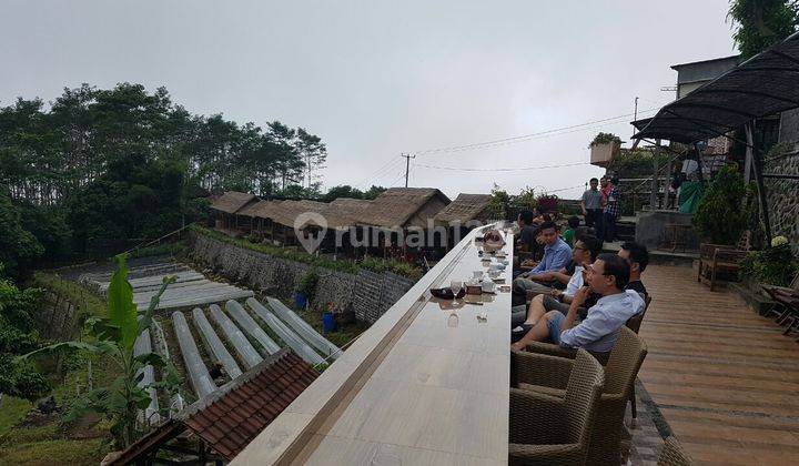 Tanah View Gunung Dan Hutan di Jual di Bedugul Tabanan 2