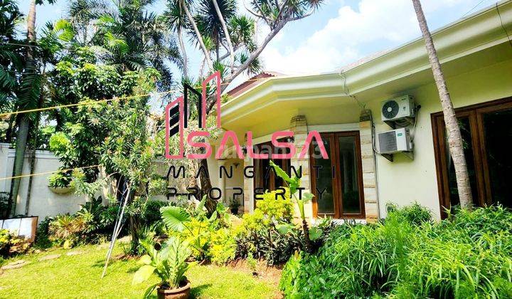 For Rent House Beautiful Nice Garden Minimalis Modern Single House Lokasi Strategis Bebas Banjir Dekat Sekolahan Dan Area Expat Dan Lokasi Tenang Harga Murah Tanah Luas Bangunan Mewah Furnish Area Kemang Jakarta Selatan  2