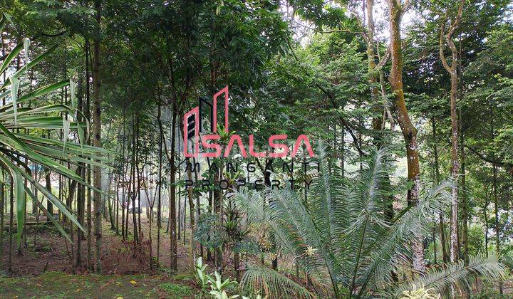 Dijual Cepat Tanah Bagus Komersial Harga Murah Siap Bangun Bisa Villa Cafe Ruang Usaha Dan Tempat Pariwisata Dan Multifungsi Area Camping Ground Gunung Bunder Halimun Salak Pamijahan Kabupaten Bogor Jawa Barat  2