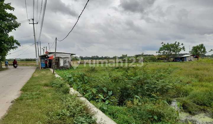 Kavling Bagus Dipinggir Jalan 10 Hektar Harga Dibawah NJOP di Karawang Barat