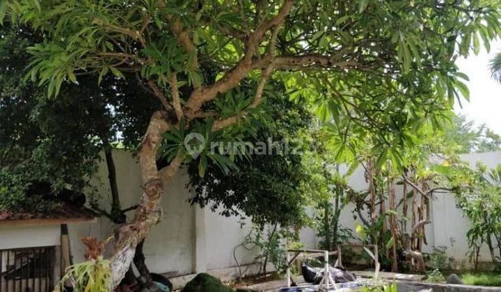 RUMAH MEWAH 3 LANTAI FULL FURNISHED DEKAT PANTAI 10