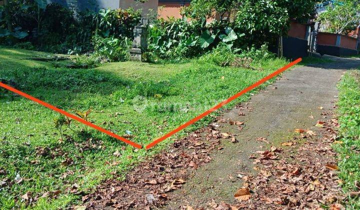 Land for sale very cheap in strategic Tabanan area  2