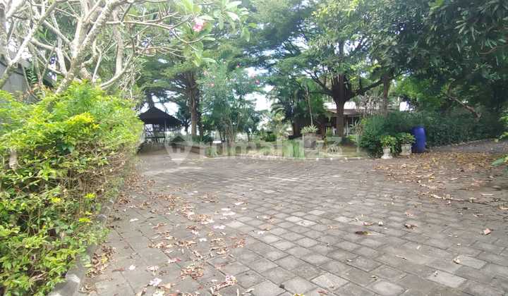 Tanah Jual Murah Siap Bangun Dekat Pantai dan Bali Safari