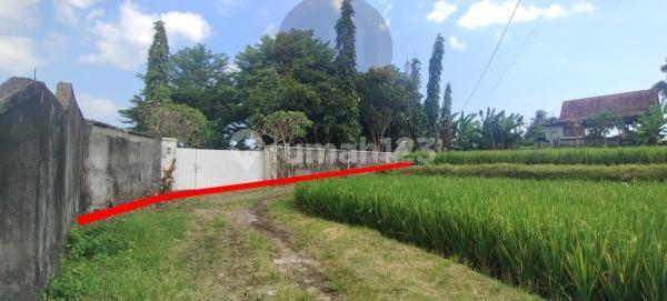 Tanah Jual Murah Siap Bangun Dekat Pantai Gianyar Tanah Jual Murah Siap Bangun Dekat Pantai Gianyar