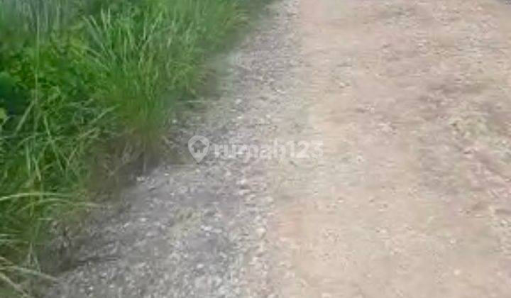 Tanah di Desa Bondoboghila kota Waitabula NTT Lokasi strategis   4