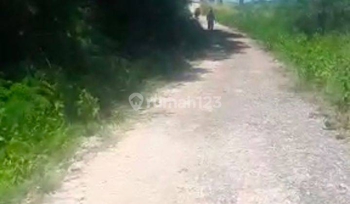 Tanah di Desa Bondoboghila kota Waitabula NTT Lokasi strategis   5