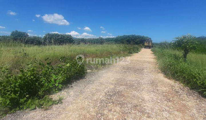 Tanah di Desa Bondoboghila kota Waitabula NTT Lokasi strategis   8