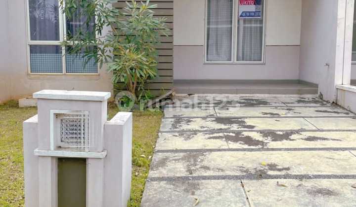 Disewakan Murah Rumah Baru Suvarna Sutera