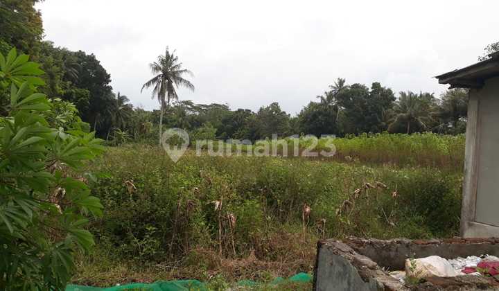 Bu Tanah wonosari 5.316 m² SHM di Jl di Dendles 3