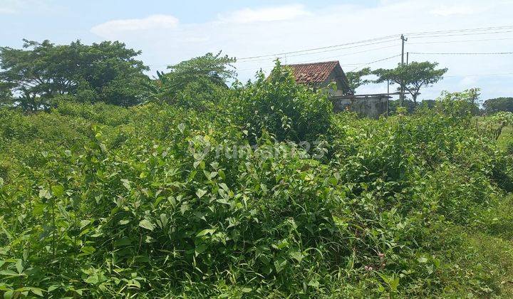 Bu Tanah wonosari 5.316 m² SHM di Jl di Dendles 11