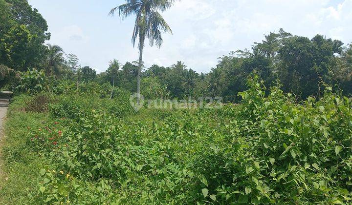 Bu Tanah wonosari 5.316 m² SHM di Jl di Dendles 12