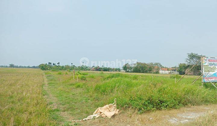 Dijual Cepat Kavling Siap Bangun Lokasi Tambelang Bekasi  3