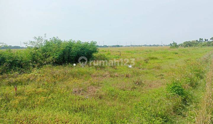 Dijual Cepat Kavling Siap Bangun Lokasi Tambelang Bekasi  4