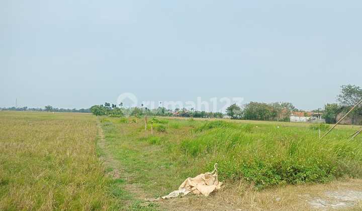 Dijual Cepat Kavling Siap Bangun Lokasi Tambelang Bekasi  9