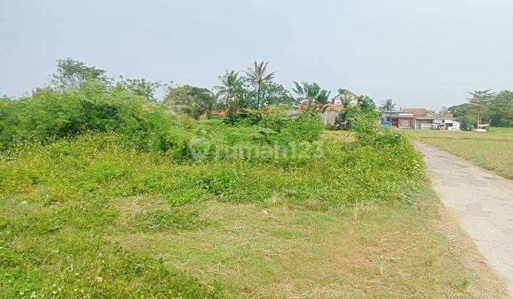 Dijual Cepat Kavling Siap Bangun Lokasi Tambelang Bekasi  12