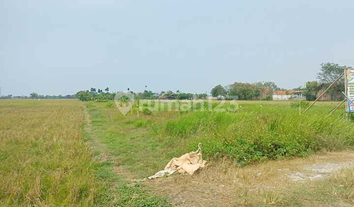 Dijual Cepat Kavling Siap Bangun Lokasi Tambelang Bekasi  11