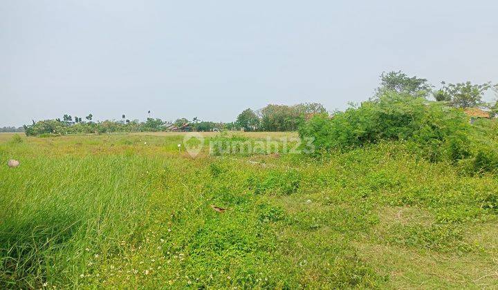 Dijual Cepat Kavling Siap Bangun Lokasi Tambelang Bekasi  13