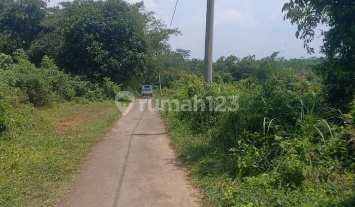 Tanah Murah Zona Hijau Cocok Untuk Peternakan, Nego Sampai Deal