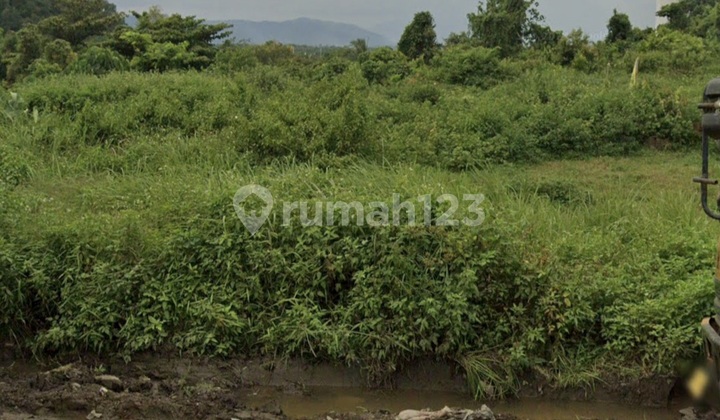 Tanah Murah Nego Sampai Jadi, Cocok Untuk Gudang Atau Perkebunan Tanah Murah Nego Sampai Jadi, Cocok Untuk Gudang Atau Perkebunan