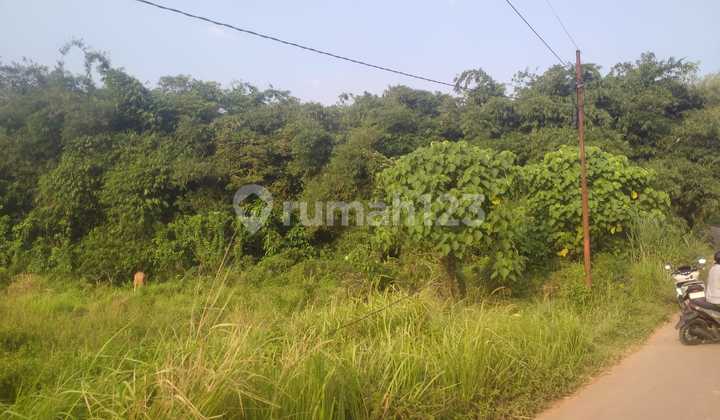 Tanah Murah Untuk Peternakan Zona Hijau, Bisa Akses Mobil Tanah Murah Untuk Peternakan Zona Hijau, Bisa Akses Mobil