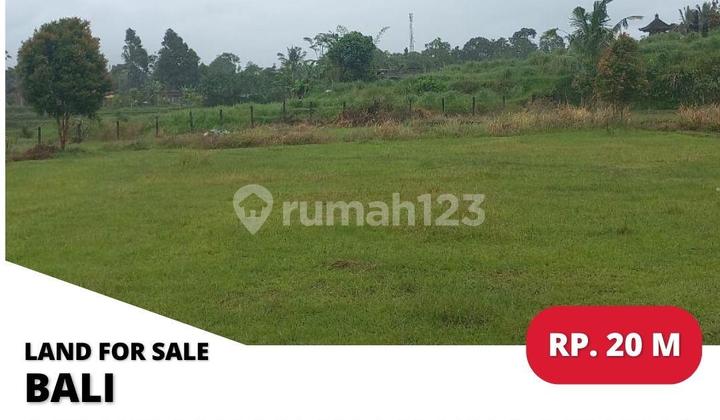 Kampung Perkemahan Desa Peneng Kampung Perkemahan Desa Peneng