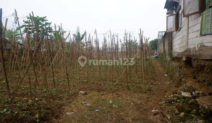 Di Jual Tanah 1000m² Di Cipanas Cianjur 2