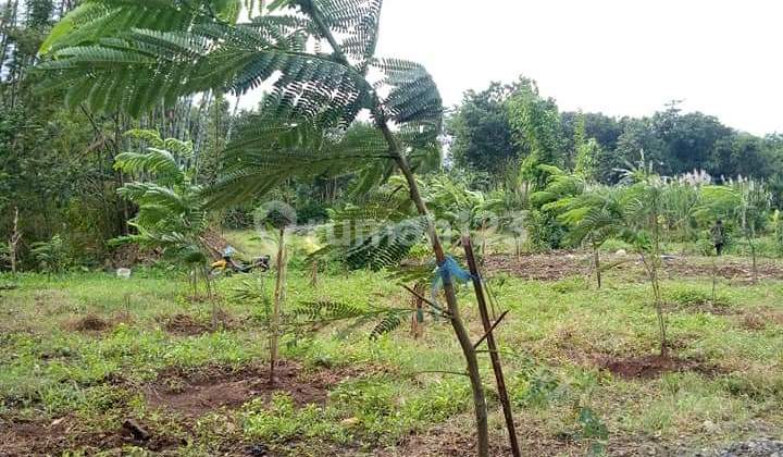 Tanah di Jual di Daerah Lawang Malang