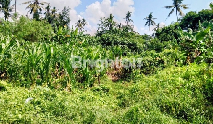 Land for Sale Near Saba Beach