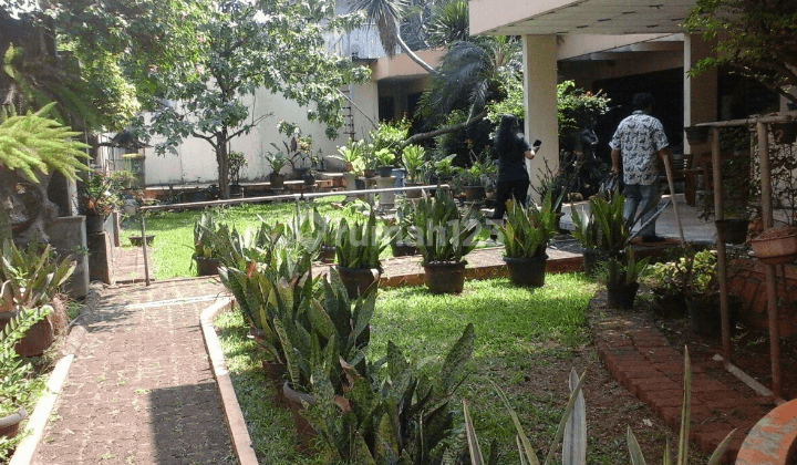 Tanah Pinggir Jalan Raya Pejaten Jaksel, Cocok Untuk Townhouse Kusmo 3