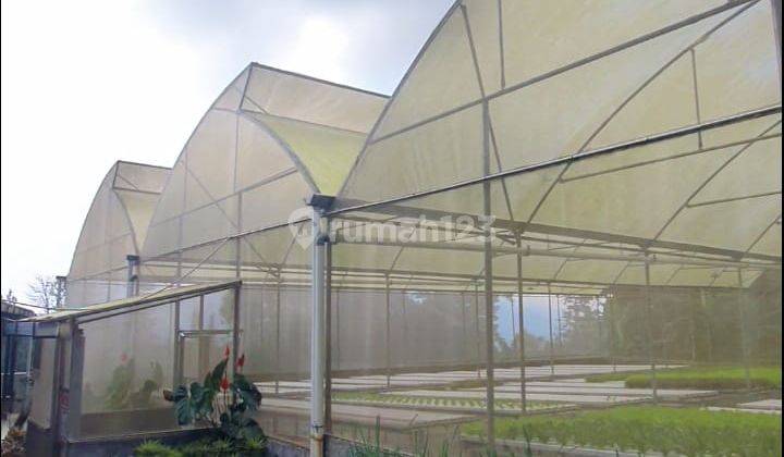 Dijual Green House Trawas Aktif Dan Terawat  1