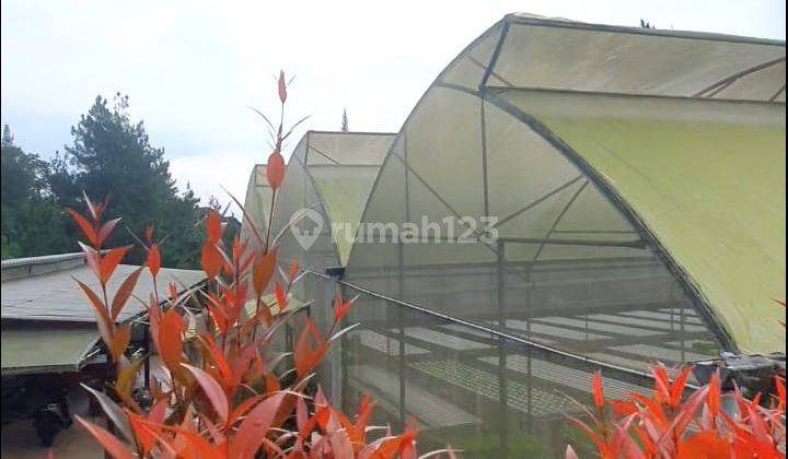 Dijual Green House Trawas Aktif Dan Terawat  5