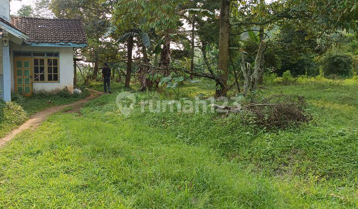Dijual Tanah Murah Untuk Perumahan Tepi Jalan Limbangan Semarang 2