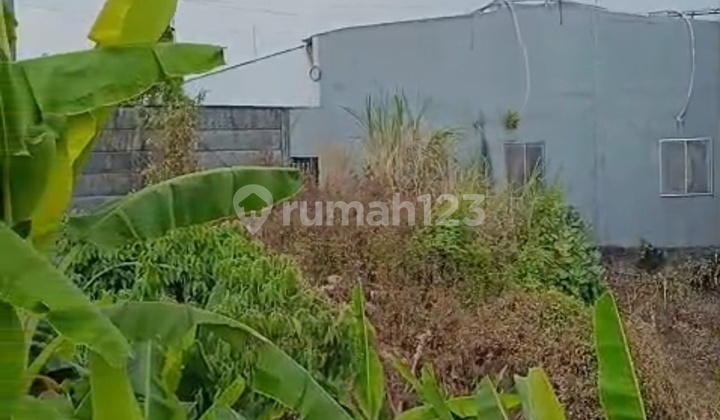 Dijual Tanah Produktif Tepi Jalan Diponegoro Ungaran Jawa Tengah 1