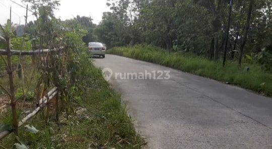 Dijual Tanah Murah untuk Perumahan  di Jl. Banyumeneng Mranggen Semarang 1